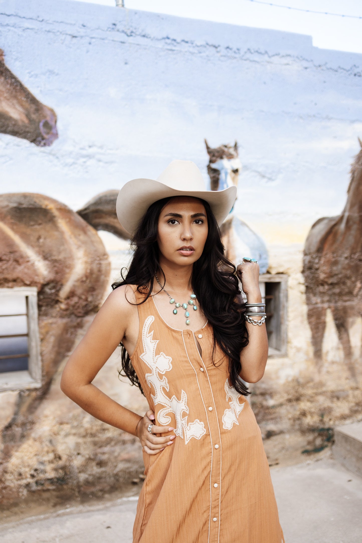 The Western Stitch Dress