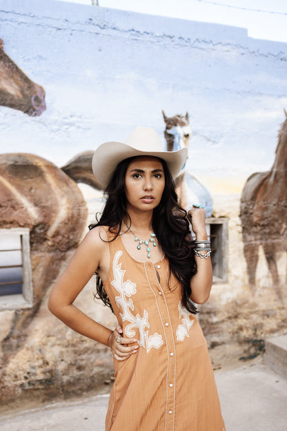 The Western Stitch Dress