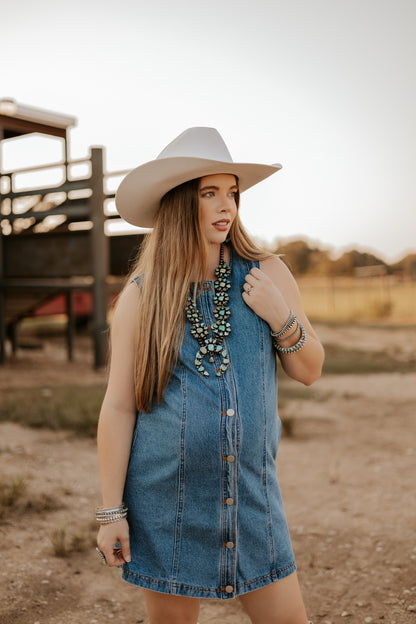 The Dobbs Denim Dress