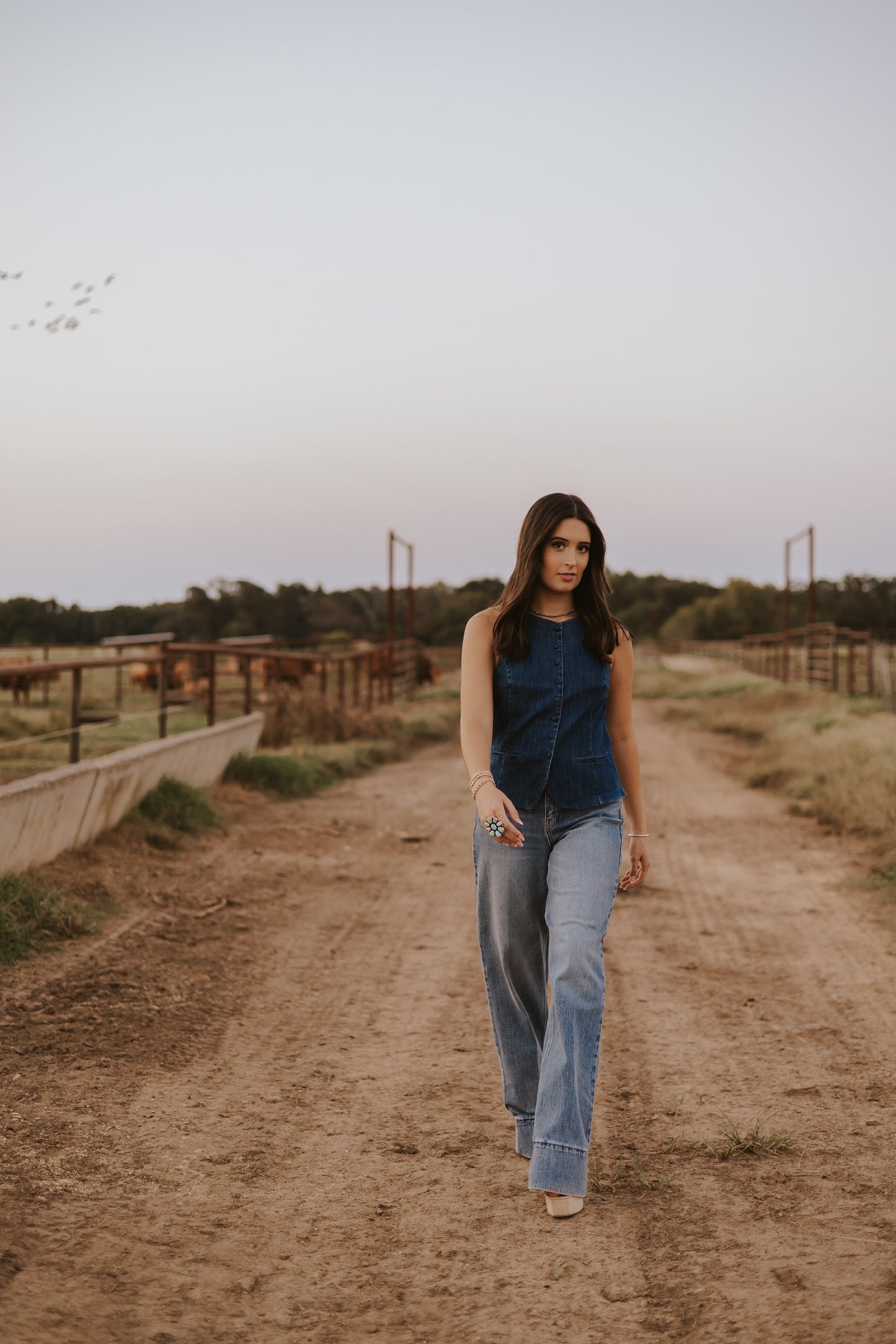 The Dax Denim Top
