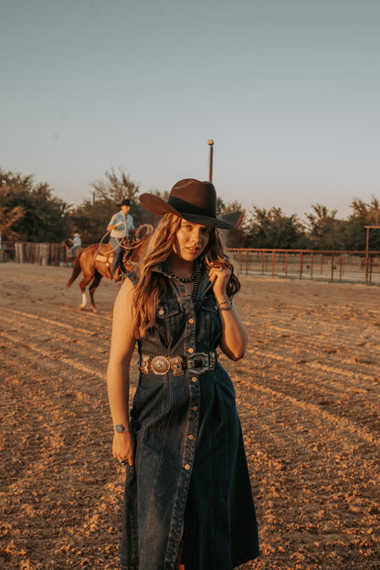 The Dylan Denim Dress