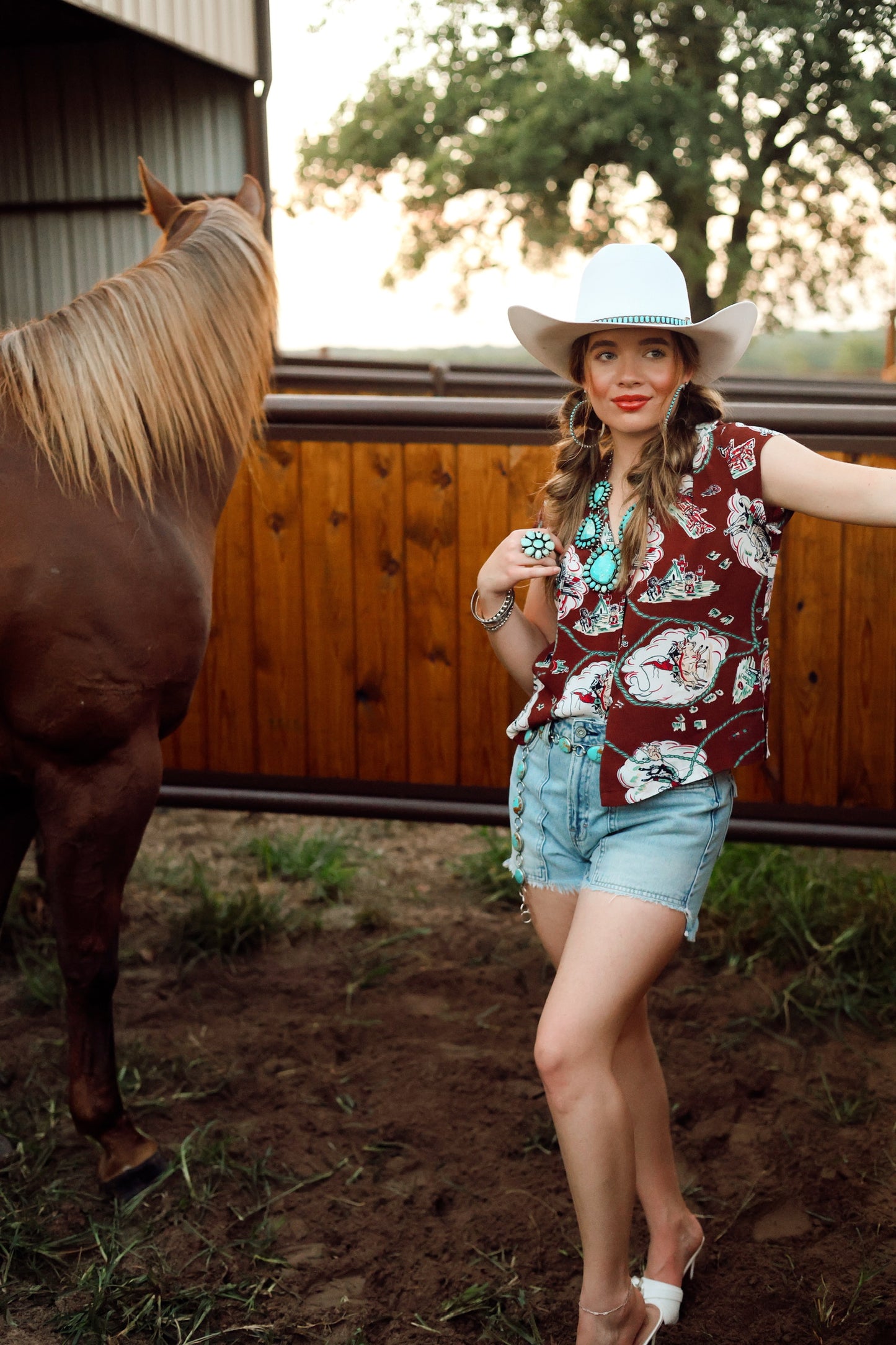 The Western Horizon Short Sleeve Top-Small