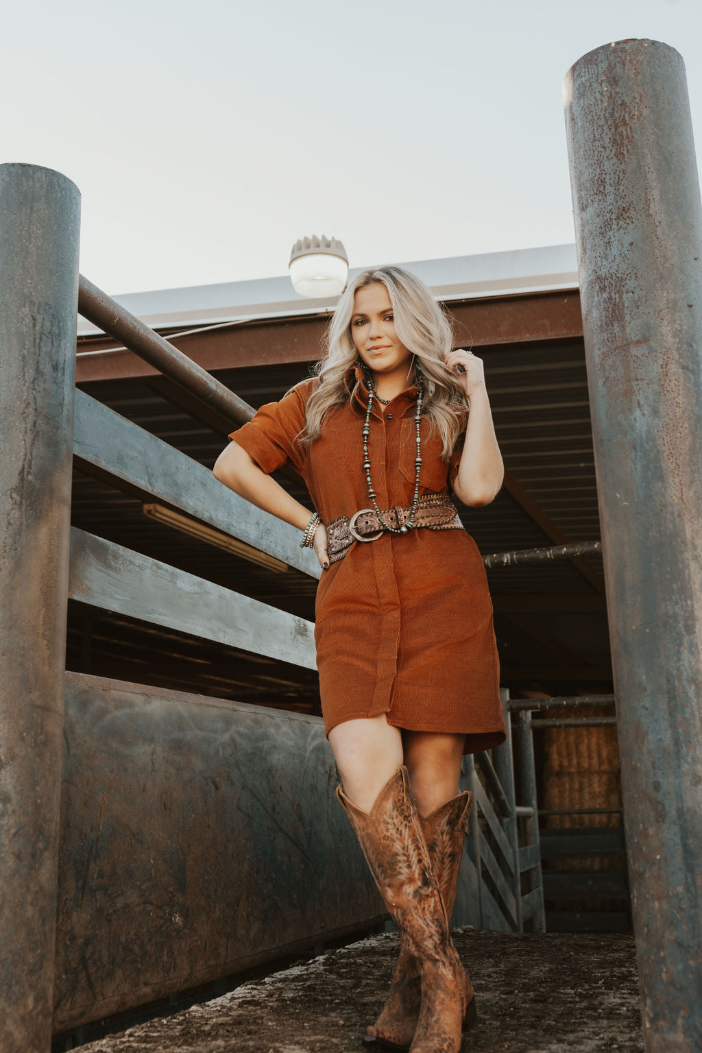 Ariat dresses online