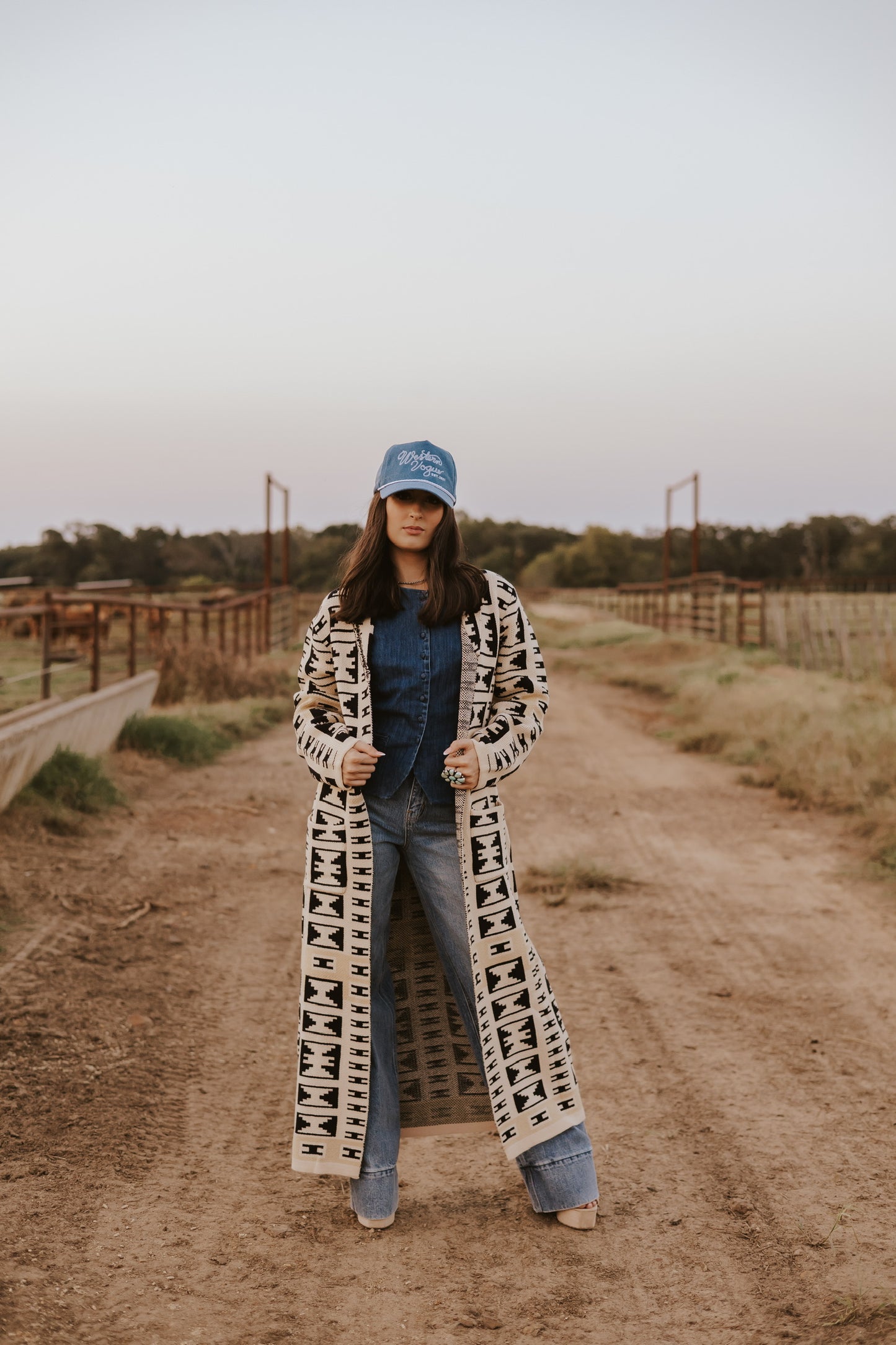 The Dax Denim Top