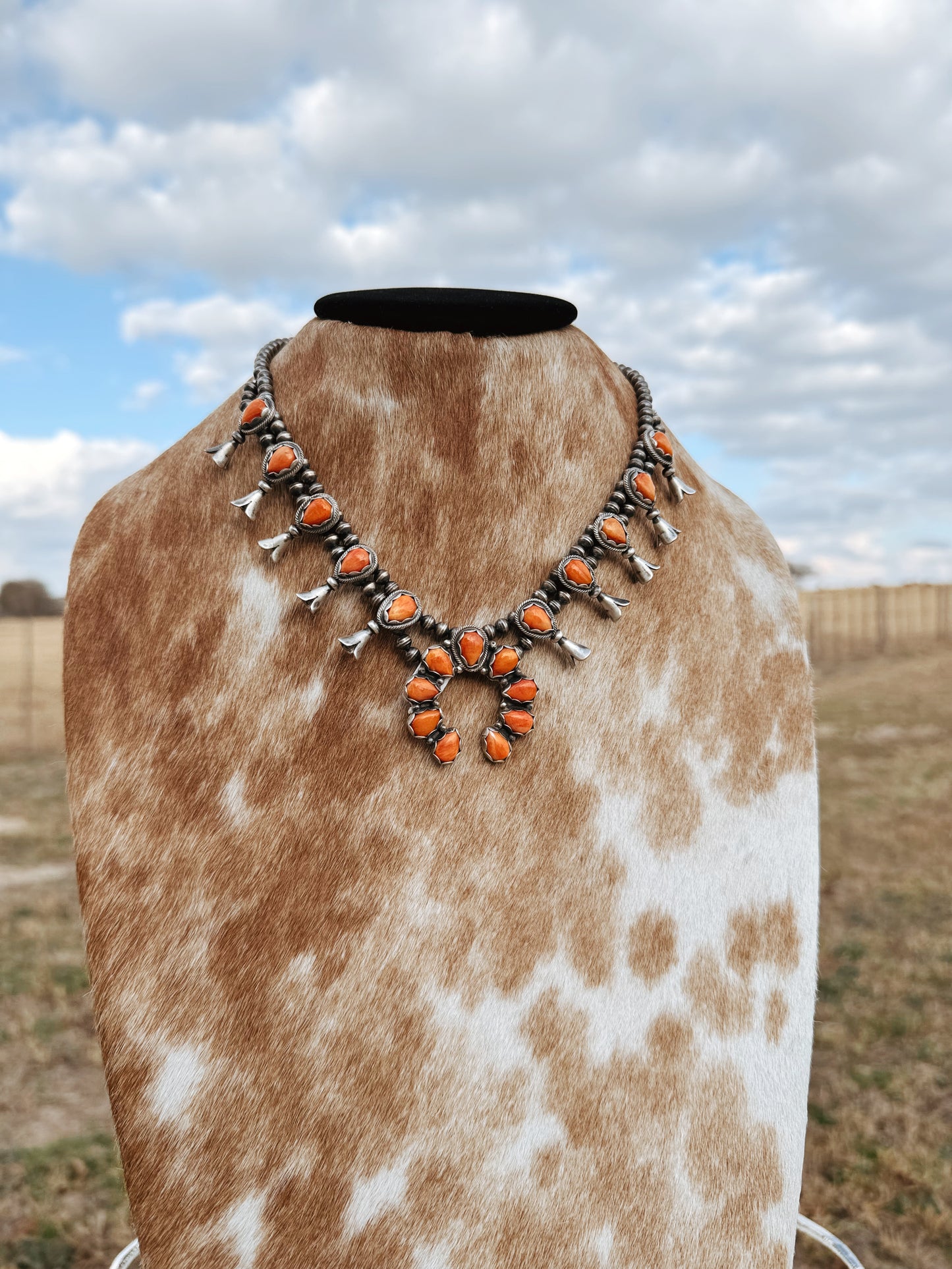 The Spiny Squash Set