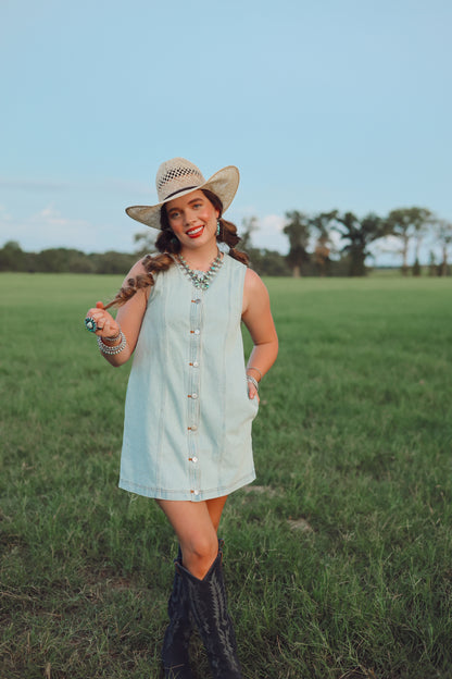 The Dobbs Denim Dress in Light Wash