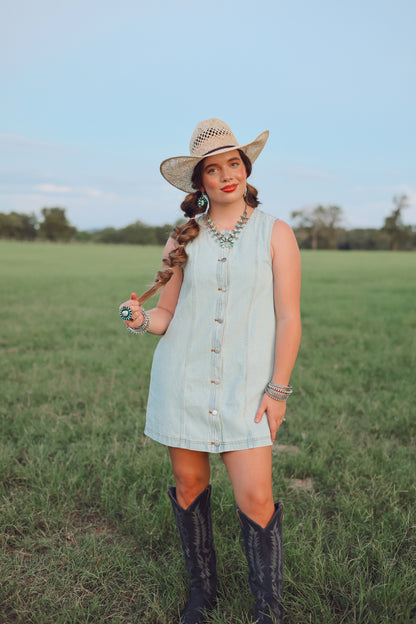 The Dobbs Denim Dress in Light Wash