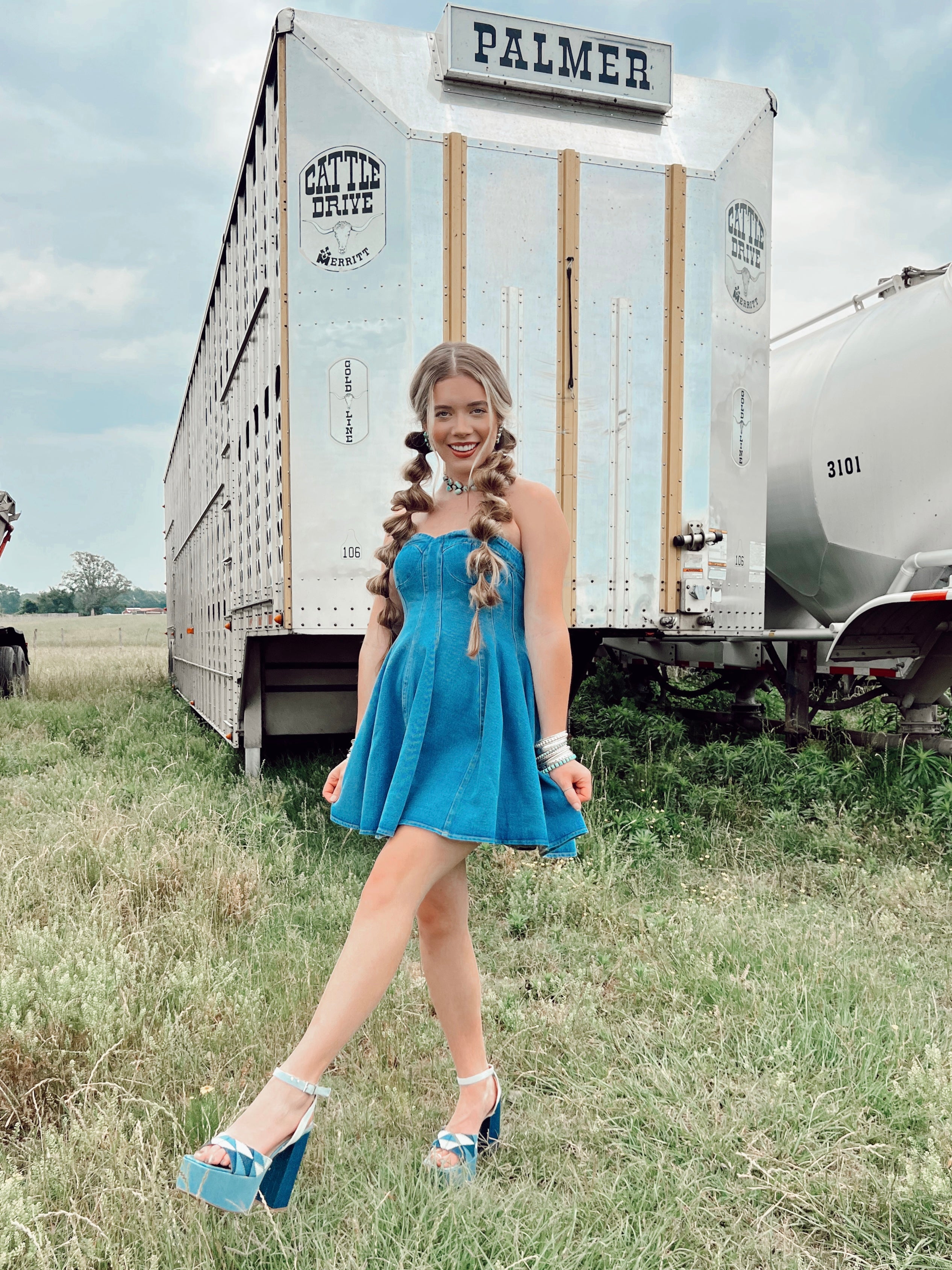 The Davis Denim Dress