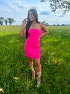 The Savage Dress in Pink