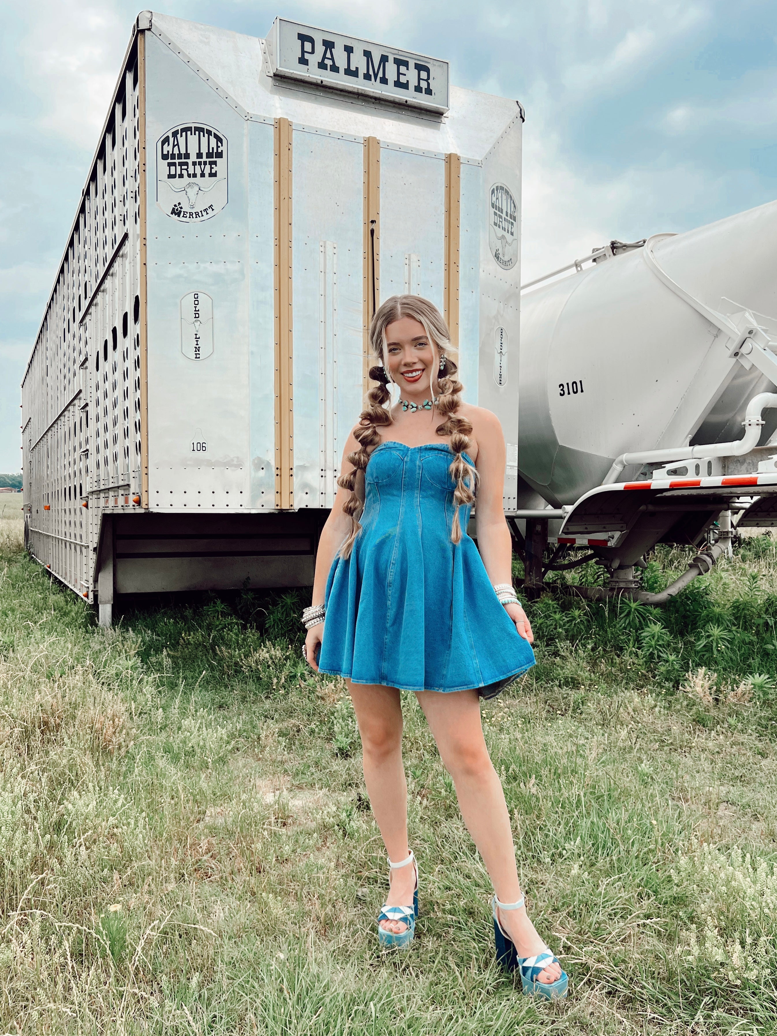 The Davis Denim Dress