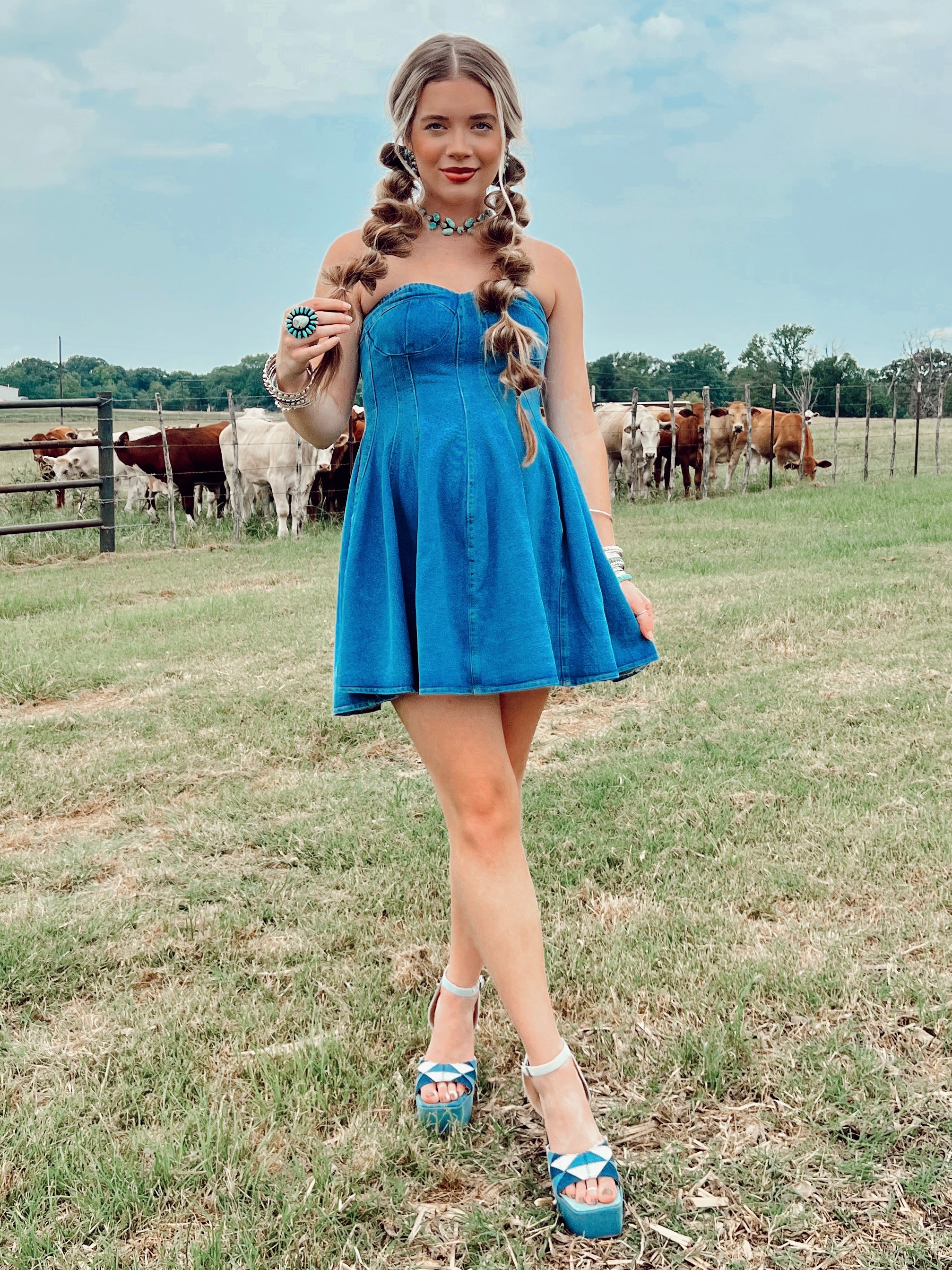 The Davis Denim Dress