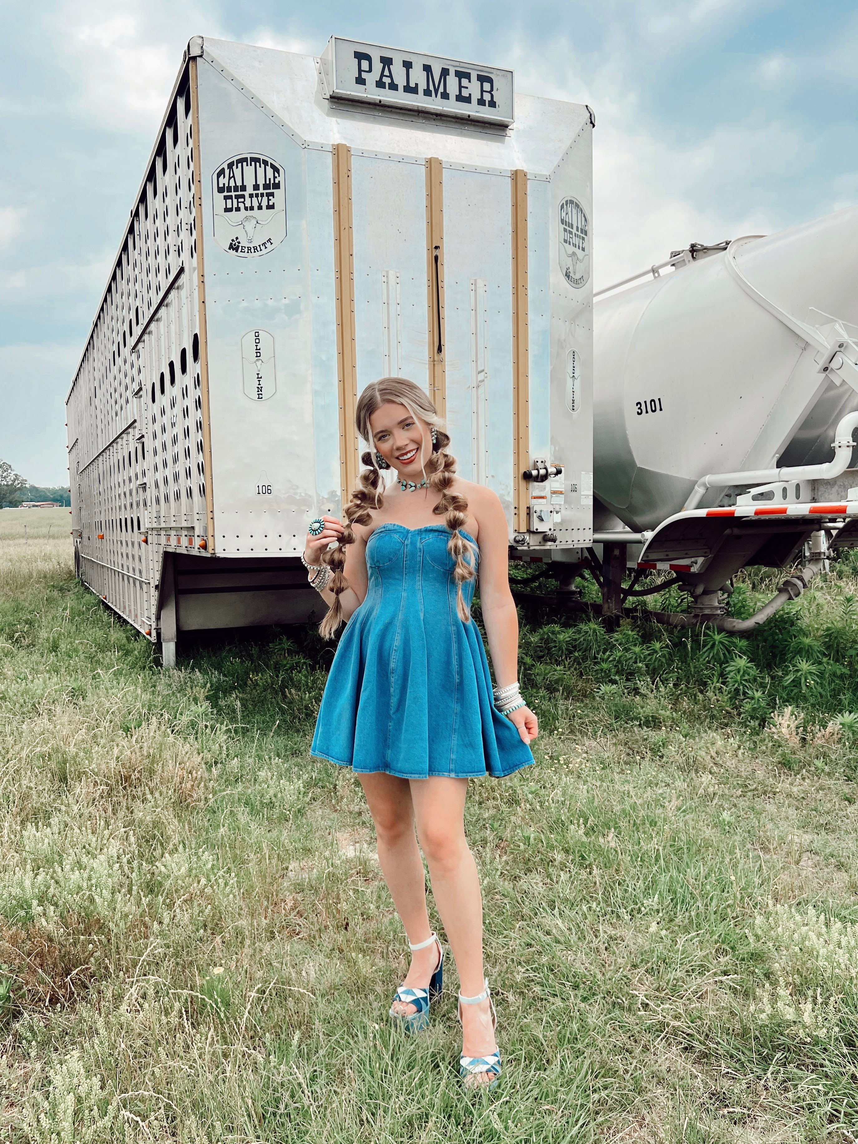 The Davis Denim Dress