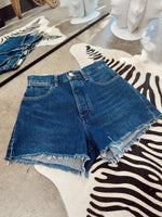 Load image into Gallery viewer, The Wrangler Festival Blue Horizons Shorts
