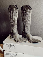 Load image into Gallery viewer, Old Gringo Mayra Bis Boots in Black

